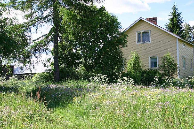 lehmila_juhannus_2005 051.jpg